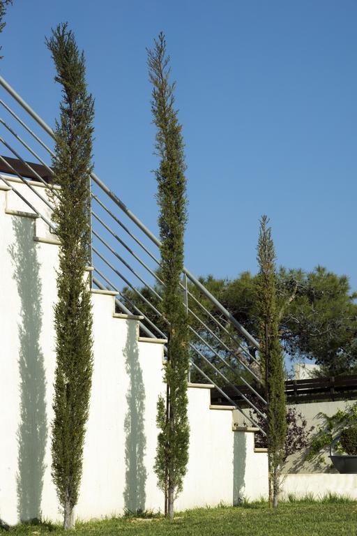 Villa Vikla Pissouri Exterior foto